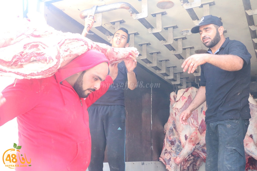 ada7y forthei (20).JPG